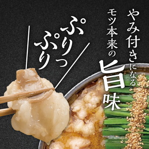 博多もつ鍋前田屋　もつ鍋セット　みそ味4～6人前 博多もつ鍋 みそ味 セット 4人前 〜 6人前 もつ鍋 やみ付き もつ 旨味 ぷりっぷり 食感 こだわり 和牛 ホルモン 特製 スープ にんにく ゆず
