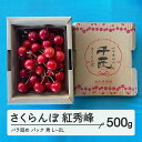 【ふるさと納税】 《先行予約》2025年 山形県産 さくらんぼ 紅秀峰 バラ詰め（パック） 500g 秀 L〜2L サクランボ フルーツ 果物 F21A-464