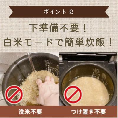 ふるさと納税 出雲市 もちもち玄米【ぷちっともち玄米】洗米・つけ置き不要 炊飯器で簡単/子どもも喜ぶ/900g×6袋 |  | 03