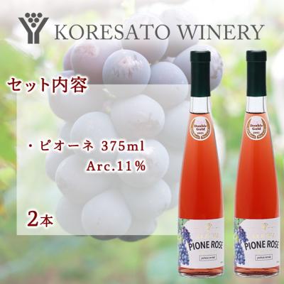 ふるさと納税 赤磐市 是里 ワイン 果実酒 ピオーネ 375ml 2本[NO5765-1263] |  | 01