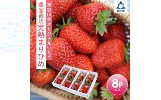 和歌山オリジナルいちご「完熟まりひめ」たっぷり8パック《先行予約》2026年3月下旬頃から順次発送【配送不可地域：北海道・青森・秋田・岩手・沖縄】
