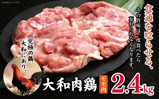 大和肉鶏 モモ肉 2.4kg  |  肉 鶏 大和 鶏肉 かしわ うまみ 料理 和食 洋食 食卓 新鮮 食 フード 高品質 コク おすすめ だし 一貫生産 国産 通販 ギフト 奈良県 五條市