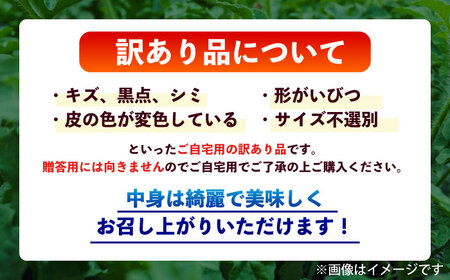 【先行予約】訳あり 小玉すいか 2玉 約2kg～3kg　【株式会社 Foody’s】[AYAT009]