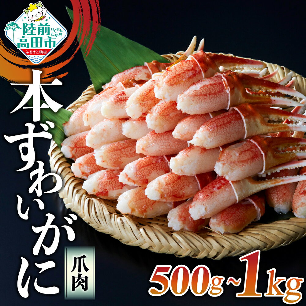 【ふるさと納税】本ズワイガニ 爪肉 選べる 500g / 1kg [ かに カニ 蟹 ズワイガニ ずわいがに ずわい蟹 ズワイ蟹 ずわい ズワイ カニ爪 蟹爪 カニ爪肉 ボイル ポーション 冷凍 むき身 料理 便利 小分け 鍋 おせち 年末年始 陸前高田 タイム缶詰 ]
