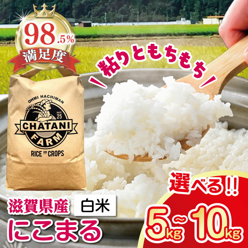 【ふるさと納税】令和7年産 近江米にこまる白米 5kg / 10kg 茶谷ファーム 滋賀県産