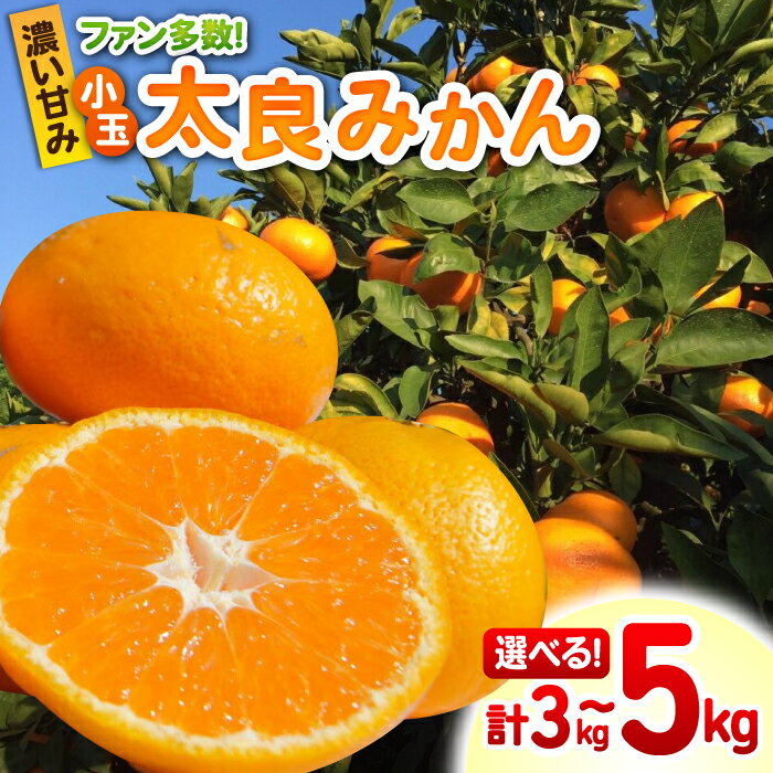 【ふるさと納税】【家計お助け返礼品】【選べる内容量】完熟 小玉太良みかん 3kg or 5kg / フルーツ 果物 みかん 蜜柑 ミカン / 佐賀県 / 山本農園 [41ATBT004]