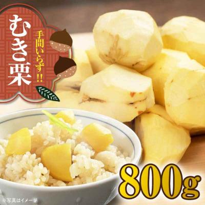 ふるさと納税 大洲市 【先行受付】【10月上旬より順次発送】ムキ栗 800g (真空パック)[AGBN032]
