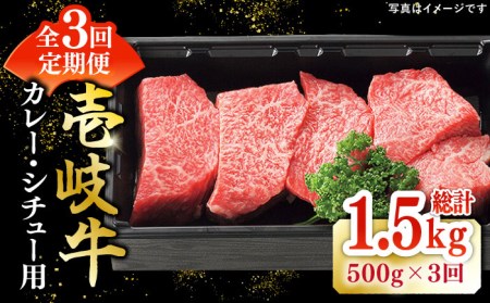 【全3回定期便】 特選 壱岐牛 すね肉 500g（カレー・シチュー用）《壱岐市》【太陽商事】[JDL082] 冷凍配送 黒毛和牛 A5ランク 肉 牛肉 黒毛和牛 ブランド牛 カレー シチュー 赤身 チマキ 煮込み ブロック 国産 九州 36000 36000円