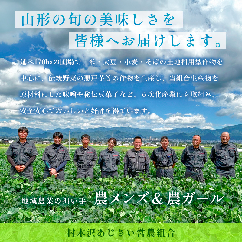 山形市村木沢産はえぬき(玄米) 5kg×2 ブランド米 山形県 山