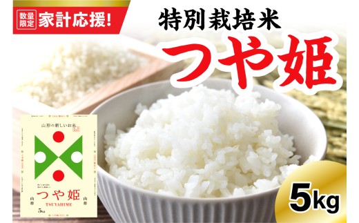 ※2026年4月発送分※ 【令和7年産】 特別栽培米 つや姫  5kg 〔精米〕