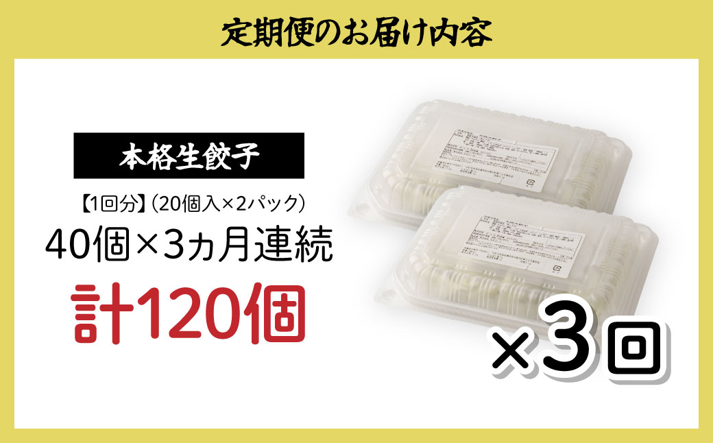 定期便 全3回 餃子 毎月40個 人気店の旨味あふれる冷凍餃子 | 大容量 ギョウザ 冷凍餃子 ギョーザ 冷凍ギョウザ 冷凍 冷凍ぎょうざ ぎょうざ ぎょーざ おいしい 手軽 食べ比べ 美味しい おつ