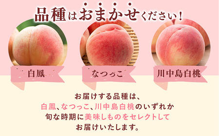 旬の桃 (特秀品) 食べきりやすい 3個入り ｜ 桃