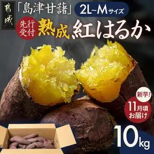先行受付!【11月お届け】島津甘藷　熟成紅はるか 10kg(2L～M)〔12-A7-001-10kg-11〕_(都城市) 島津甘藷 紅はるか 未選別 10kg 2L～M