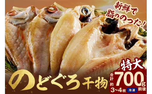 のどぐろ干物 特大3~4枚（計700g前後）のどぐろ本来の旨味に出会う渾身の干物 河野乾魚店 魚介類 魚貝類 干物 干もの 一夜干し お祝い お取り寄せ グルメ アカムツ 【019_1949】