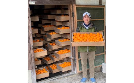 
石橋果樹園 蔵入りみかん 4.5kg(35~45個)
