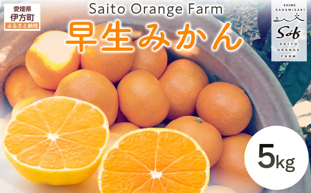 
            【先行予約】Saito Orange Farmの早生(わせ)みかん5kg（2025年11月下旬頃より順次発送） 【 ふるさと納税 人気 おすすめ ランキング みかん ミカン 蜜柑 柑橘 早生みかん 早生ミカン フルーツ 果物 産地直送 西宇和 Saito Orange Farm 愛媛県産 愛媛県 伊方町 送料無料 】 IKTAQ020
          