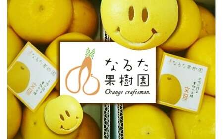 成田果樹園 の 土佐文旦 3kg ご家庭用 文旦 ぶんたん [1684]