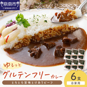 【自家用 化粧箱なし】ゆるっとグルテンフリー とろとろ旨味とけあうビーフカレー（中辛）6食セット【092D-009】