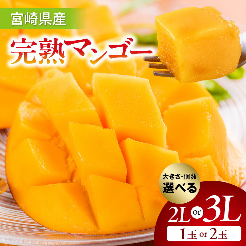 【ふるさと納税】【選べる大きさ・個数】【期間・数量限定】宮崎県産完熟マンゴー 果物 フルーツ 完熟マンゴー マンゴー 宮崎県産 国産 青果 青果物 旬 季節 贈答 贈り物 ギフト プレゼント お祝い 内祝い グルメ お取り寄せ おすすめ 人気 宮崎県 宮崎市 送料無料