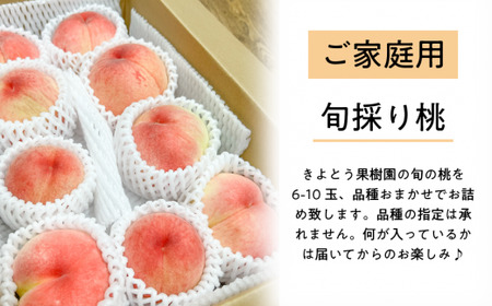 【きよとうファーム】旬採り桃 ご家庭用 6-10玉 (岡山県産)【KF-A018-02】