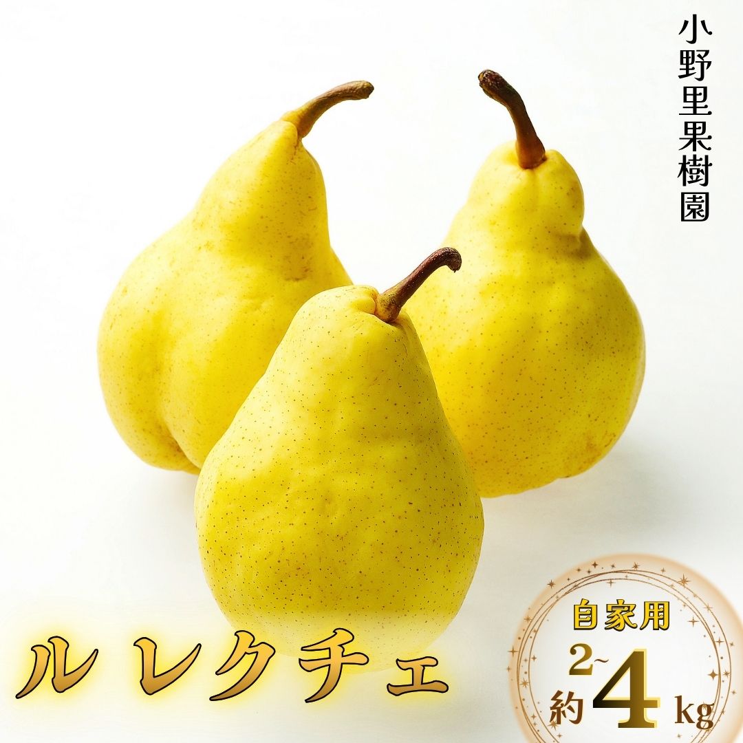 【ふるさと納税】先行予約 ル レクチェ 自家用 選べる容量 [約2・3・4kg] ル・レクチェ 新潟県産 洋梨 [小野里果樹園]