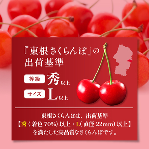 2025年GI東根さくらんぼ「佐藤錦」700gバラ詰め(350g×2ﾊﾟｯｸ)　東根農産センター提供 山形県 東根市 hi027-170-1（山形県 東根市 果物 フルーツ サクランボ さくらんぼ 佐