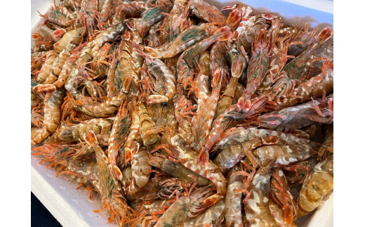 天然 むき身モサエビ お刺身用200g×3P