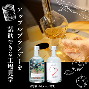 アップルブランデー 醸造所見学チケット 1名様分 《モホドリ蒸溜研究所》 【試飲・お土産付】 ツアー りんご 酒  工場見学 体験 旅行 チケット 観光 青森県五所川原市