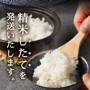 a24-072　令和７年産 ネギトロに合う！ 焼津のお米 にじのきらめき 白米10kg