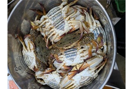 京都ケジャン ワタリガニ（久美浜産） 1kgUP 3杯入り