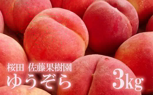
            No.1203福島の桃　「ゆうぞら」約3kg【2025年発送　先行予約】
          