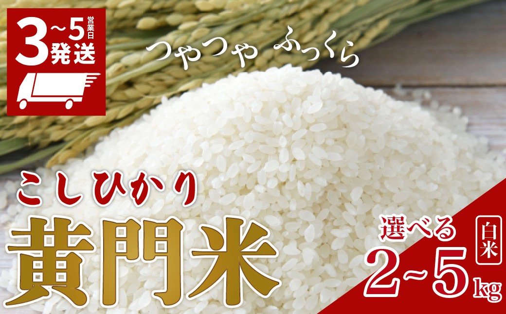 
                  令和7年度米 コシヒカリ 白米 2～5kg 黄門米 茨城県 常陸太田市産 | 精米 3～5営業日発送 スピード配送 選べる定期便 家計応援 タツミ米穀 コシヒカリ こしひかり 米 お米 おこめ こめ 白米 精米 ごはん ご飯 コシヒカリ こしひかり コシヒカリ 厳選米 こしひかり 冷めてもおいしい 美味しい こだわり 甘い ふっくら 米どころ ブランド米 人気米
                
