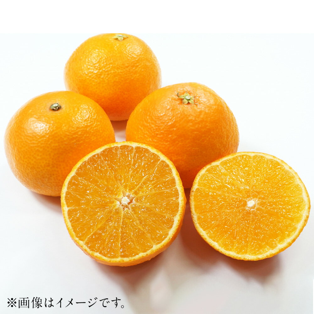 【ふるさと納税】愛果 愛媛果試28号 4L～L 約5kg みかん 蜜柑 果物 フルーツ 柑橘 デザート おやつ お取り寄せ 国産 愛媛県 送料無料【2025年12月発送予定】(818)
