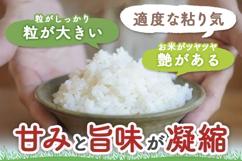 【6ヶ月定期便】【令和7年産】〈白米〉 つや姫 5kg×6回（特別栽培米）