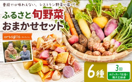 季節の旬野菜 おまかせセット 6種 3回 隔月定期便 （農薬・化学肥料不使用）オルタッリャ 《お申込み月の翌月から出荷開始》【配送不可地域あり】