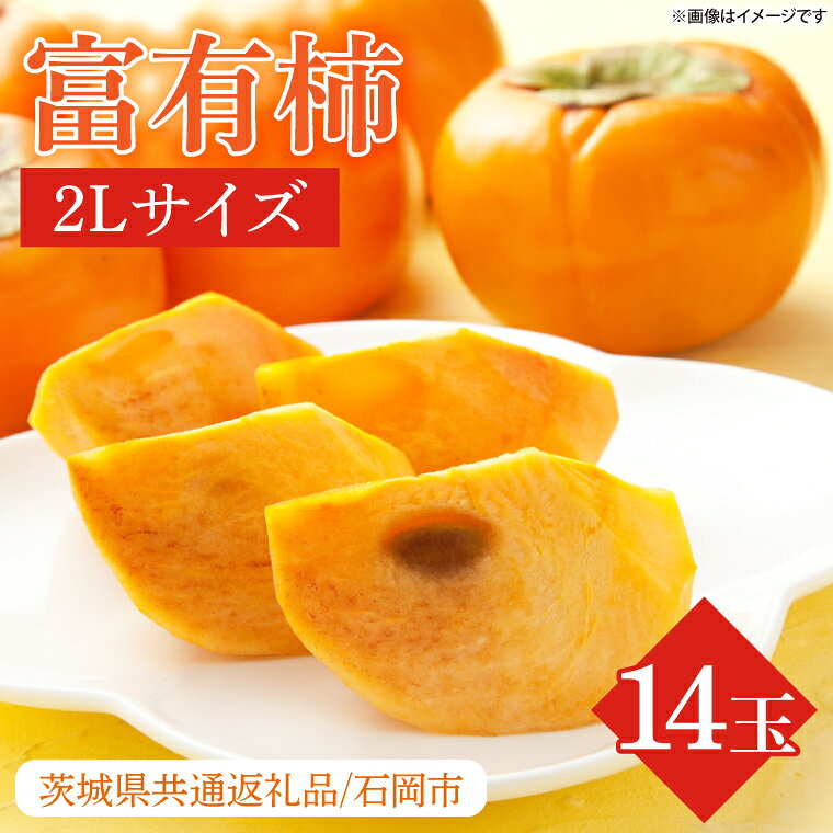 【ふるさと納税】【2026年11月より順次発送】★数量限定★富有柿 2L 14玉【茨城県共通返礼品/石岡市】｜柿 かき カキ フルーツ 果物 くだもの 富有柿 ジューシー 数量限定 行方市 石岡市 茨城県(HL-3)