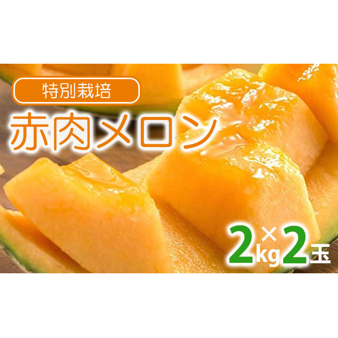 【2025年夏出荷】 ”特別栽培” 富良野産メロン 北添花 （赤肉メロン2玉入 約4kg）【植崎ファーム】メロン フルーツ 果物 新鮮 甘い 贈り物 ギフト 道産 ジューシー おやつ ふらの ブランド 夏