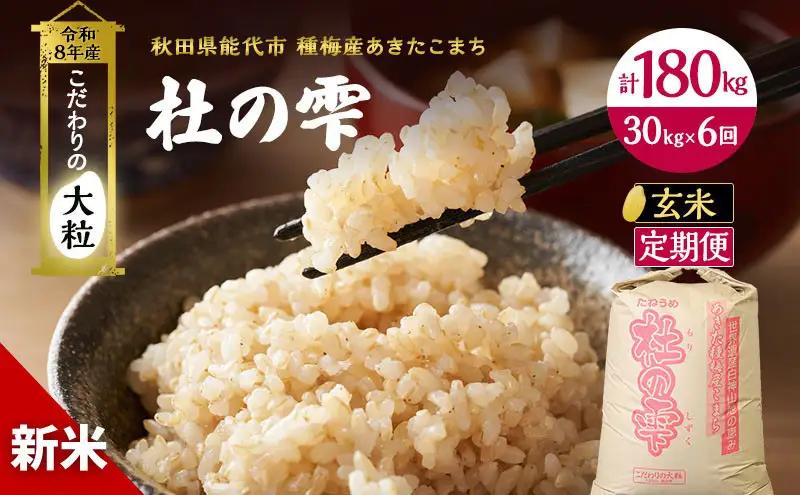 新米 先行予約 令和8年産[玄米]【定期便6ヶ月】秋田県産 あきたこまち 30kg×6回 計180kg「杜の雫」こだわりの大粒 種梅産【 お米 おこめ たねうめ 精米 ご飯 ごはん ブランド米 大粒 おにぎり 産地直送 能代 】