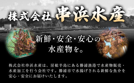 天然伊勢海老 千葉県勝浦産 生冷活〆 大サイズ 500gUP×3尾 計1.8kg 【刺身OK】 贈答 株式会社串浜水産《90日以内に出荷予定(土日祝除く)》【配送不可地域あり】（離島）【1498739