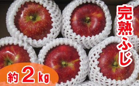 【先行予約】★完熟・大玉★ 新鮮りんご ふじ 約2kg りんご
