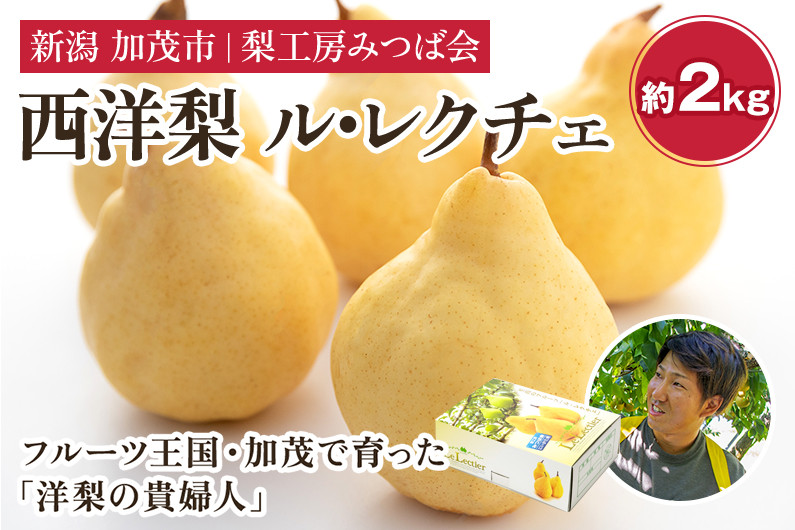
                  【2026年先行予約】新潟特産 幻の洋梨ル・レクチェ 【家庭用】2Kg（5～7玉）《11月下旬以降発送》果物 フルーツギフト 秋の味覚 加茂市 梨工房みつば会
                