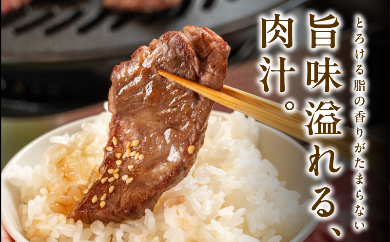 【お試し】黒毛和牛 焼肉用 400g【スピード発送 氷温熟成×特製ダレ 肩ロース 400g×1P 訳あり サイズ不揃い 焼肉 BBQ バーベキュー 人気】 mrz0489_イメージ4
