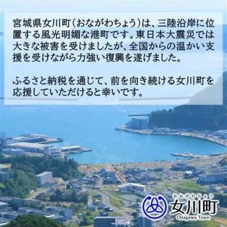 【返礼品なし】女川町への応援寄附(一口1,000円)