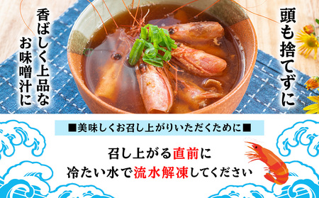 甘海老 北海道 虎杖浜産 約600g AA032