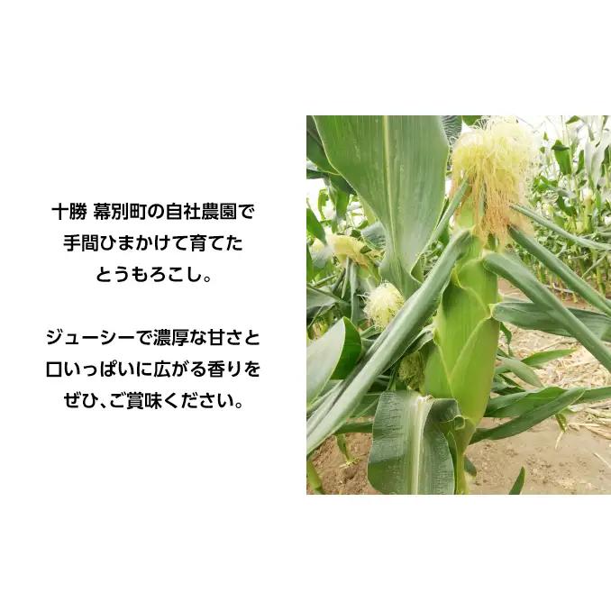 [2027年発送/先行予約] 定期便 十勝幕別の旬野菜 春夏 2回お届け（アスパラガス 800g・とうもろこし 10本） [北王農林] 【 アスパラ アスパラガス グリーン ハウス 恵味ゴールド とう