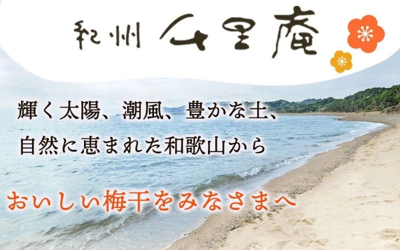 梅の精　720ml×6本 【umyssho003A】