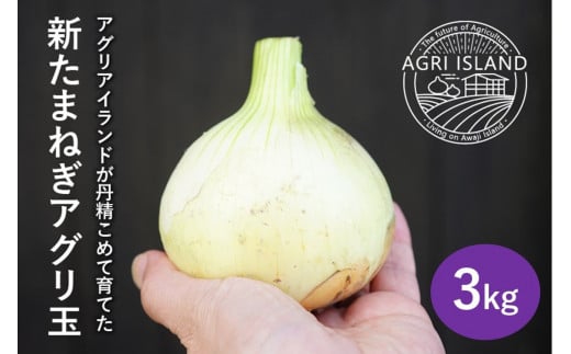 淡路島の恵まれた環境とこだわりの栽培方法で育った淡路島たまねぎです。 【アグリアイランド】【新玉予約】淡路島新たまねぎアグリ玉3kg