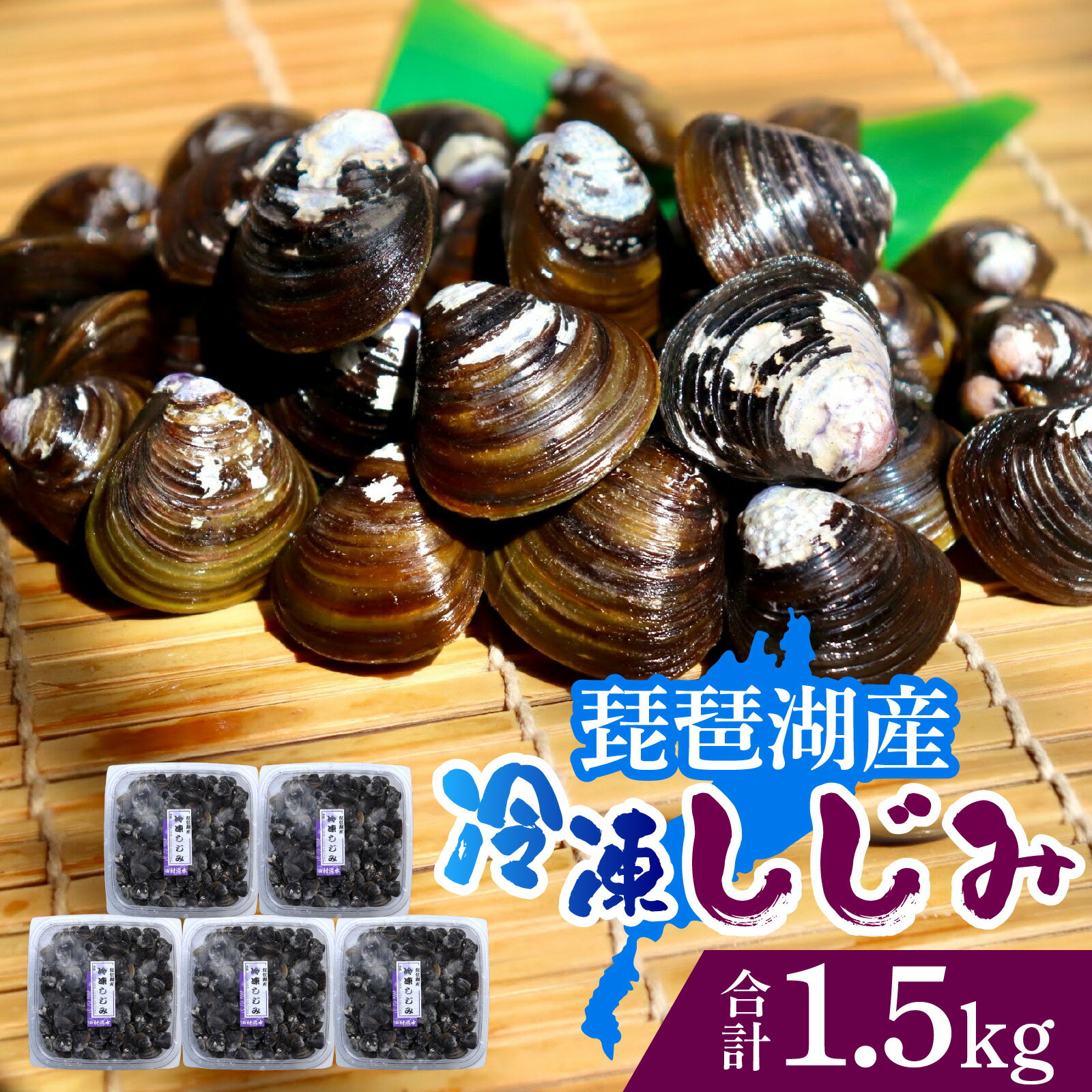【ふるさと納税】滋賀県の琵琶湖で取れた蜆 300g×5 計1.5kg [TT006] / しじみ シジミ しじみ汁 味噌汁 小分け 冷凍 大粒 天然 Lサイズ 料理 簡単調理 砂抜き 加熱用 出汁 栄養 滋賀 びわ湖 びわこ セタシジミ