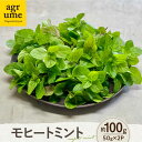 【ふるさと納税】水耕栽培 モヒートミント 約50g×2袋 長与町/アグリューム[EAI126] ミント みんと ハーブ はーぶ ハーブティー