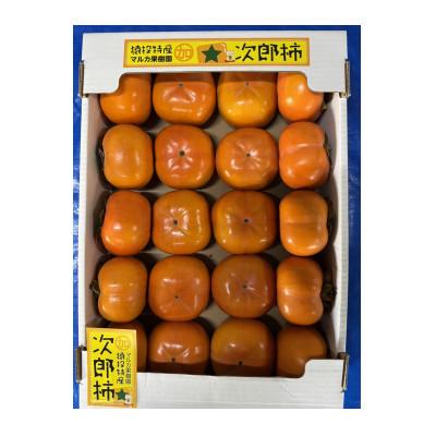 ふるさと納税 豊田市 《先行受付》次郎柿　約4.6kg【2026年11月上旬以降順次発送】 |  | 01